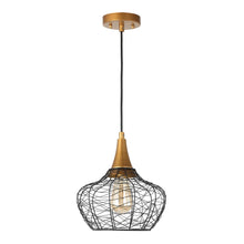 Kendyleigh 1-Light Medium Black Modern Pendant Light Fixtures