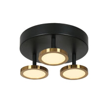 Michell 3-Light Semi-Flush