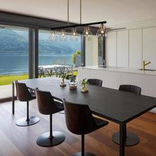Aiglitis 5-Light 38-in Black Modern Linear Glass Kitchen Island Light