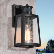Hedy 10''H 1-Light Dusk to Dawn Motion Sensor Outdoor Wall Lantern