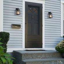 Hedy 10''H 1-Light Dusk to Dawn Motion Sensor Outdoor Wall Lantern