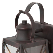 Pachypoda 12.5"H 1-Light Outdoor Wall Lantern