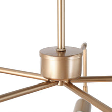 Cyphostemma 5-Light 24.5" Modern Gold Chandelier, Unique Radial