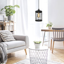 Selenicereus 1-Light Mini Silver Industrial Pendant Light Fixtures