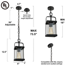 Pseudochromis 1-Light Mini Black Outdoor Pendant Light
