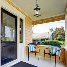 Pseudochromis 1-Light Mini Black Outdoor Pendant Light