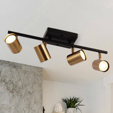 Serrulata 4-Light Black and Brass Track Light