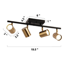 Serrulata 4-Light Black and Brass Track Light