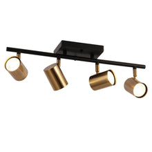 Serrulata 4-Light Black and Brass Track Light
