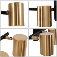 Serrulata 4-Light Black and Brass Track Light