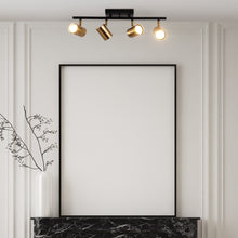 Serrulata 4-Light Black and Brass Track Light