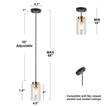 Hormosira 1-Light Mini Black Modern Pendant Light Fixtures