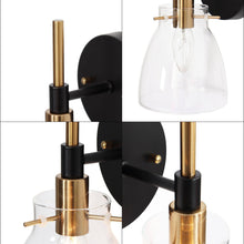 Aviannaiser 1-Light Black and Gold Vanity Light