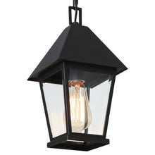 Shelijars 1-Light Mini Outdoor Pendant Light