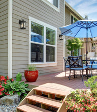 Phalaenopsis 12"H 1-Light Black Outdoor Wall Light Set of 2