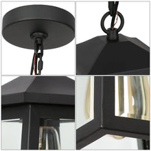 Azhariaesticu 1-Light Mini Black Outdoor Pendant Light