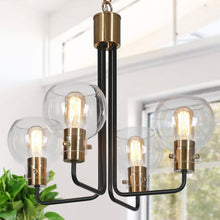 Luffa 4-Light 20" Modern Black Chandelier, Globe Glass Radial