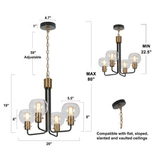 Luffa 4-Light 20" Modern Black Chandelier, Globe Glass Radial