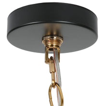 Luffa 4-Light 20" Modern Black Chandelier, Globe Glass Radial