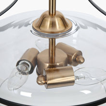 Dendrocnide 3-Light 14" Modern Black and Brass Chandelier, Drum