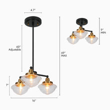 Gnetophyta 3-Light 16"Modern Black Chandelier, Radial,Seeded Glass