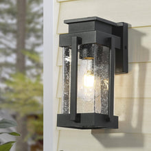 Barbatus 11"H 1-Light Black Outdoor Wall Lantern