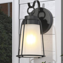 Rupert 9.1"H 1-Light Outdoor Wall Lantern