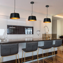 Turnipisne 1-Light Medium Black Modern Pendant Light Fixtures