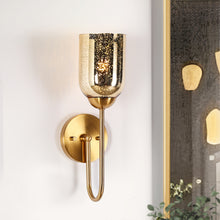 Nicomedes 1-Light Modern Gold and Mercury Glass Wine Wall Sconce