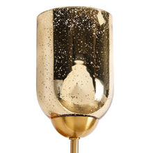 Nicomedes 1-Light Modern Gold and Mercury Glass Wine Wall Sconce