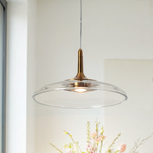 Heronsbill 1-Light 12.2" Brass LED Modern Glass Pendant Light Fixtures