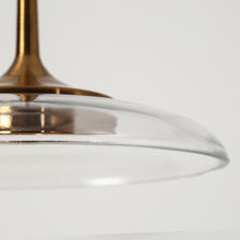 Heronsbill 1-Light 12.2" Brass LED Modern Glass Pendant Light Fixtures