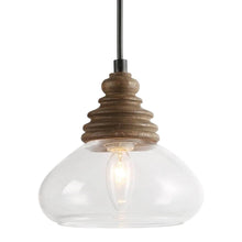 Daniel Squash Pine Wood Glass Pendant