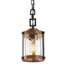 Nicole 1-Light Pendant 107.99