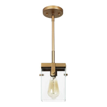 Peter 1-Light Pendant