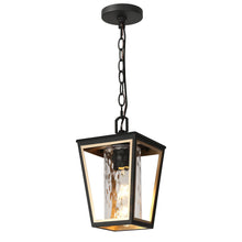 Hewifda 1-Light Mini Black and Brass Outdoor Pendant Light