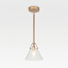 Dashaunda Gold Pendant Light