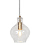 Evangeline 1-Light Mini Black Modern Pendant Light Fixtures