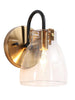 Iianmin 1-Light Black and Gold Vanity Light