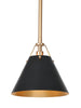 Dashaunda 1-Light Mini Black Modern Pendant Light Fixtures