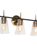 Greenriver 3-Light Black and Brass Vanity Light