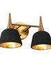 Contianssi 2-Light Black and Brass Vanity Light