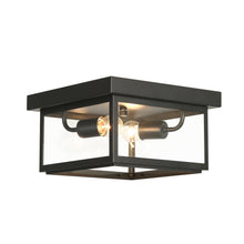 Melanthius 2-Light Mini Black Flush-Mount Light