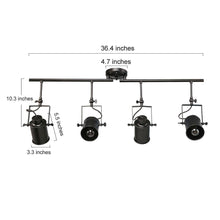 Hoatzin 4-Light Black Track Kit