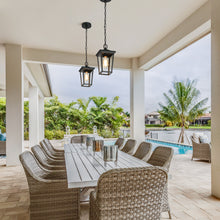 Melanthius 1-Light Mini Black Outdoor Pendant Light