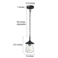 Mirabellerie 1-Light Mini Black Outdoor Pendant Light