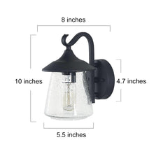 Mirabellerie 9.8"H 1-Light Black Outdoor Wall Lantern