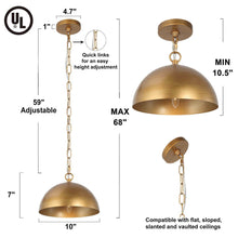 Julibrissin 1-Light Medium Gold Modern Pendant Light Fixtures