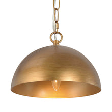 Julibrissin 1-Light Medium Gold Modern Pendant Light Fixtures