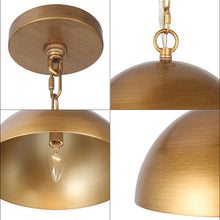 Julibrissin 1-Light Medium Gold Modern Pendant Light Fixtures